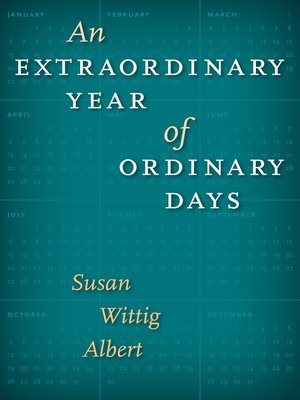 cover image of An Extraordinary Year of Ordinary Days